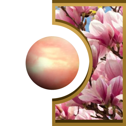 R-Ball Magnolia